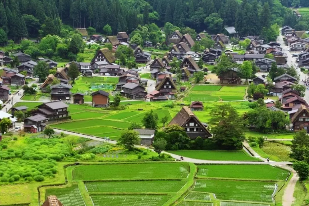 2D1N Shirakawa-go & Takayama & Hirase Onsen Tour from Tokyo