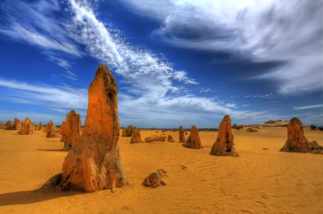 Pinnacle Desert, Yanchep and Swan Valley with Lunch