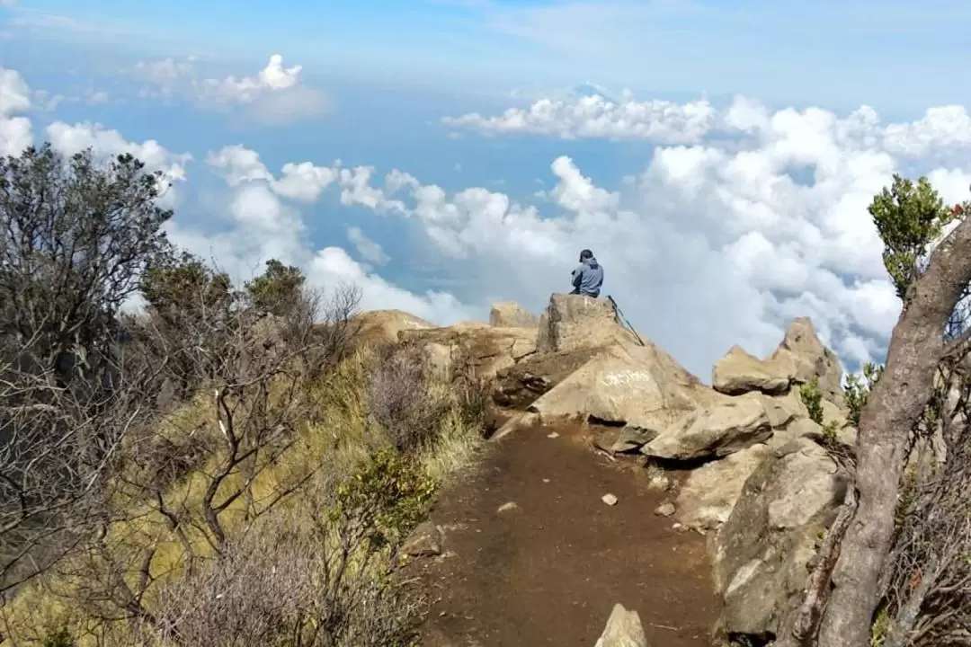 Mount Sumbing or Mount Sindoro Hiking Experience from Yogyakarta