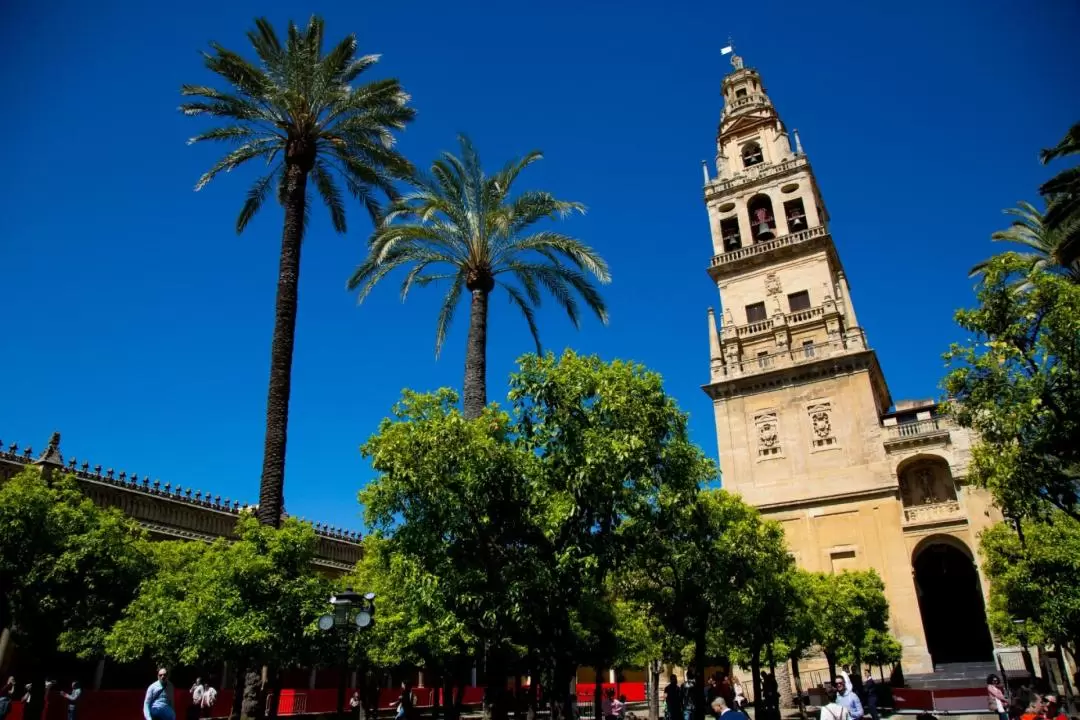 Cordoba, Mosque-Cathedral Guided Walking Tour