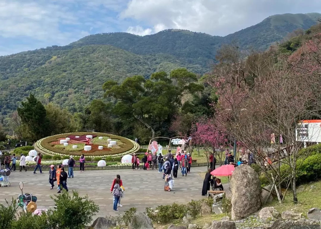 台北｜北投溫泉陽明山親山一日遊