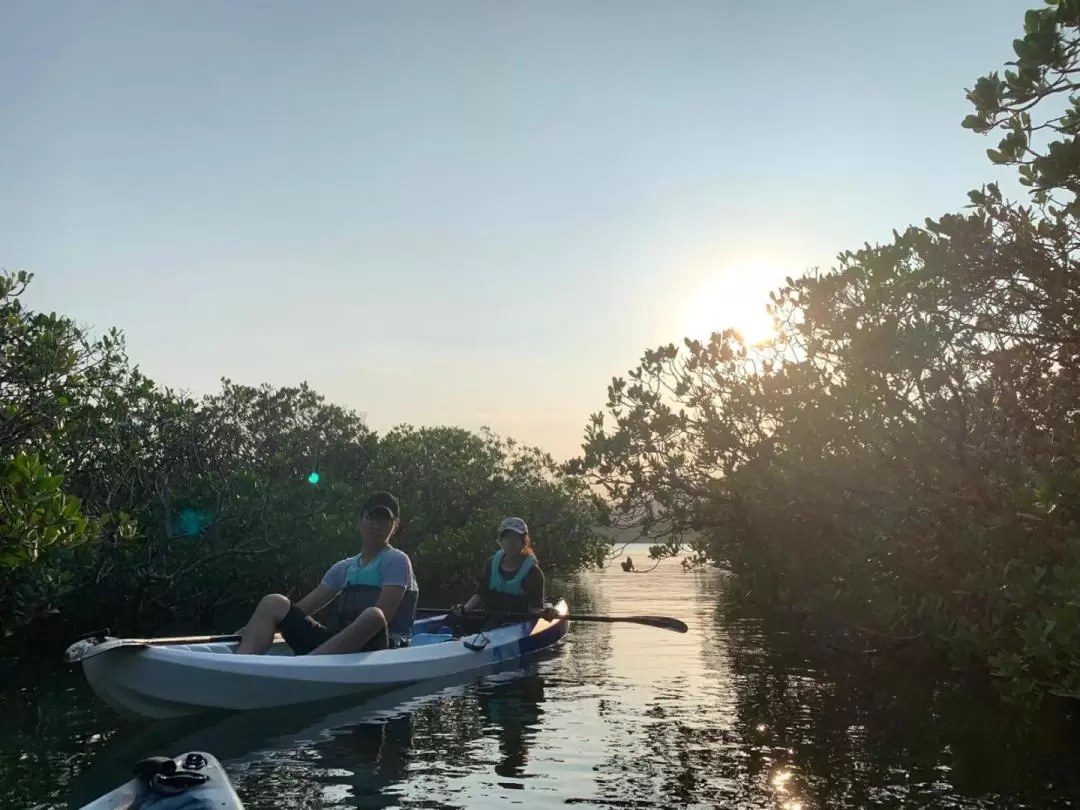 SUPWAY | Marine Ecological Exploration Tour - Roaming Ting Kok Mangrove Forest and Ma Shi Chau Geopark