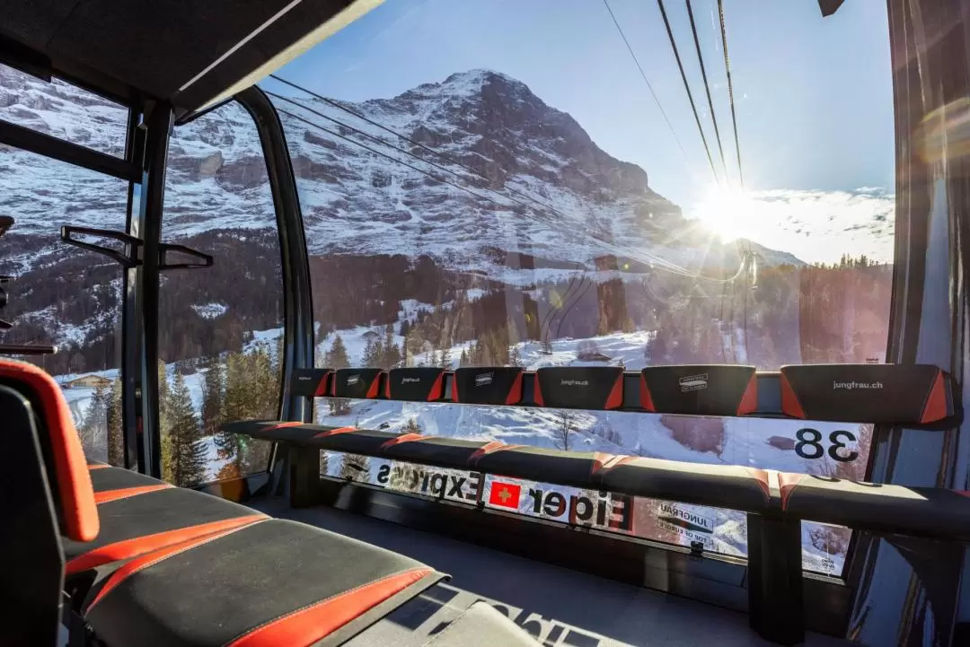 Eiger Express 3S Cable Car Ticket from Grindelwald Terminal to Eiger Glacier 