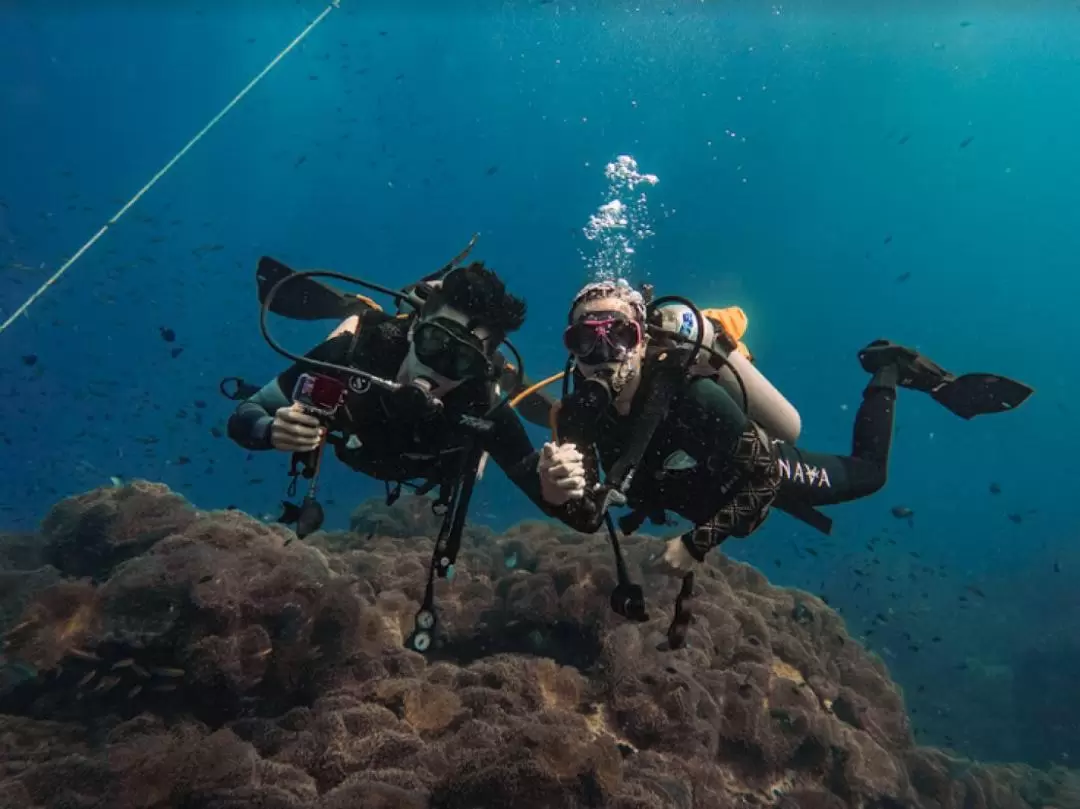 タオ島 スキューバダイビング体験（Nava Scuba Diving提供）