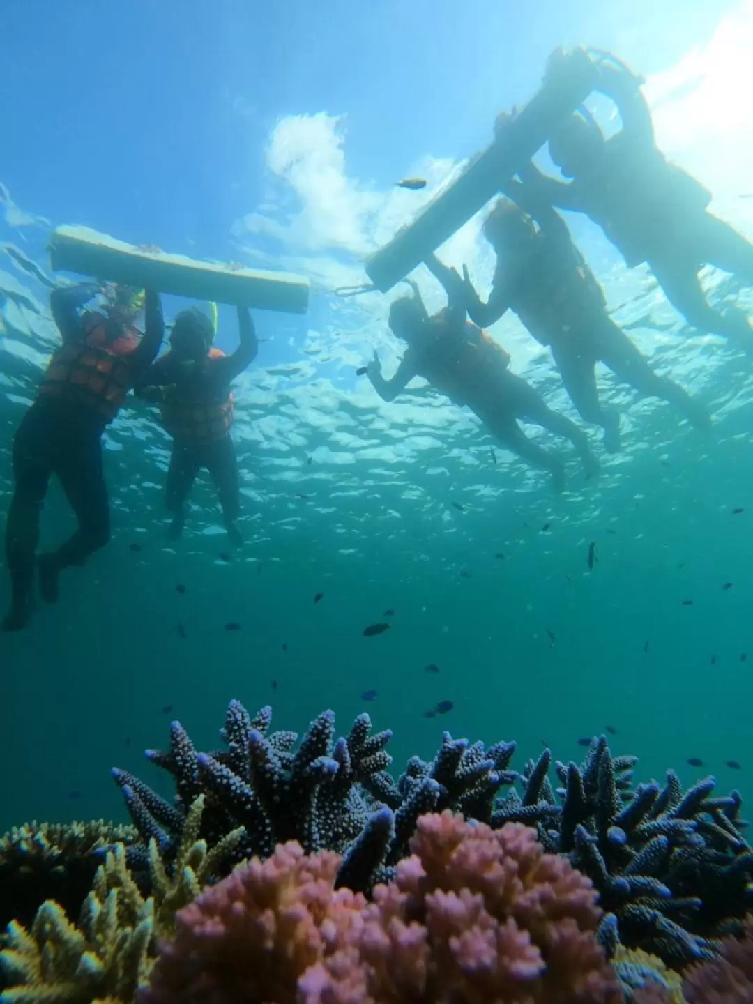 澎湖浮潛: 樂福海洋海底郵筒浮潛・SUP體驗