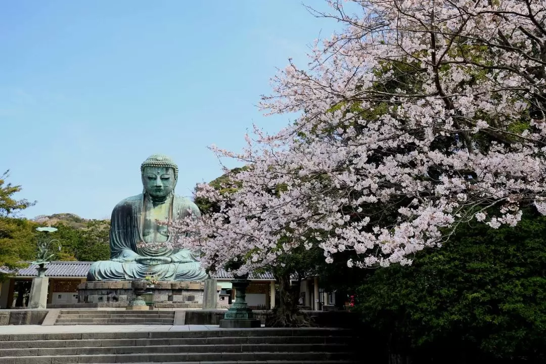 Hakone Kamakura 3-Day Pass Voucher