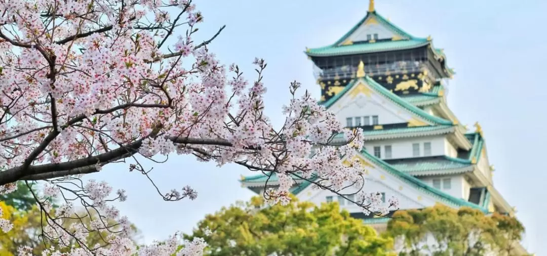 大阪市區私人觀光一日遊