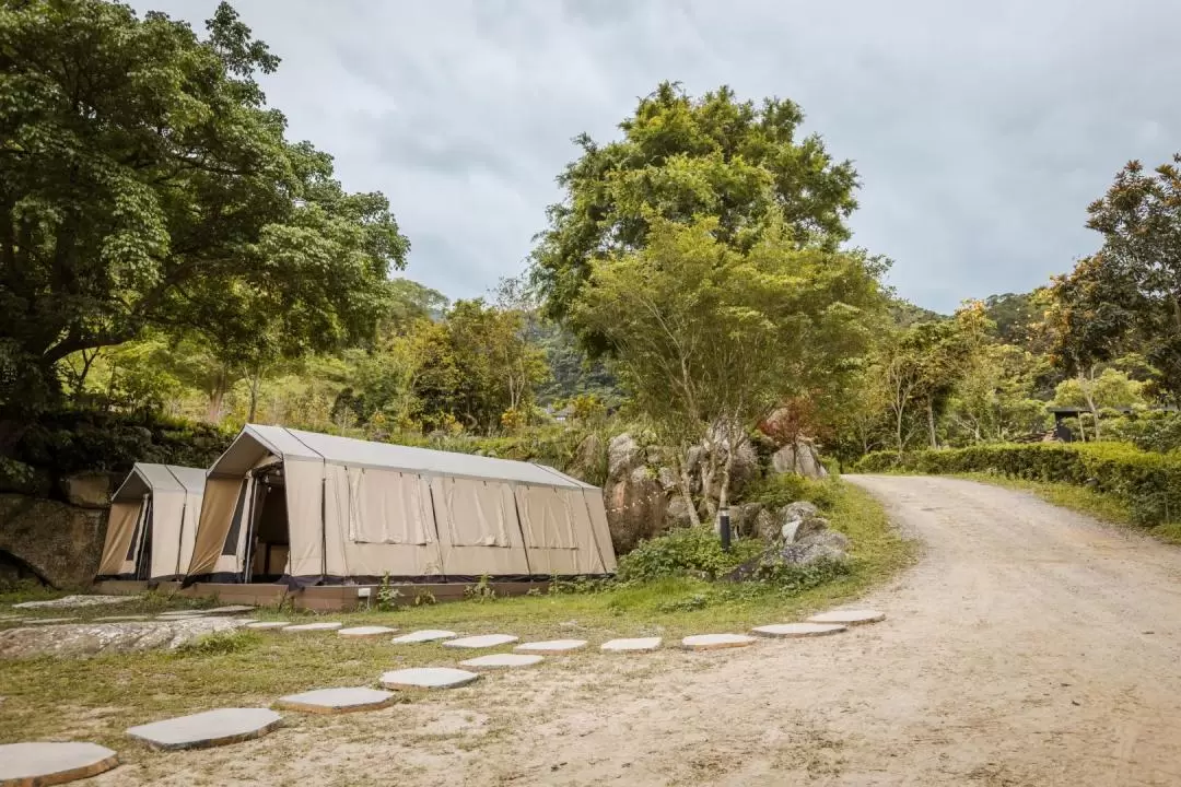 新北露營｜享靜靜露營區 Cozy Glamping