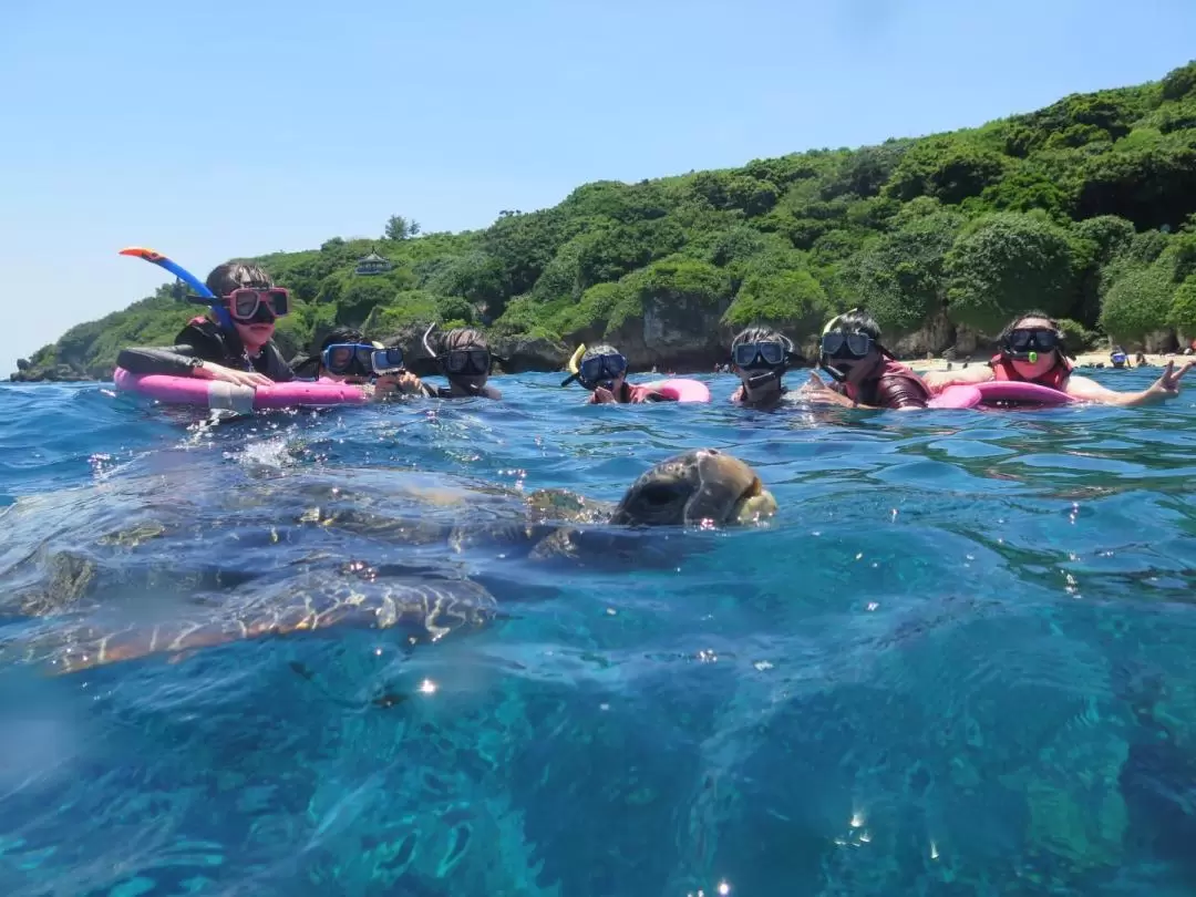 Xiaoliuqiu Snorkeling experience and swimming with sea turtles Discount for multiple people