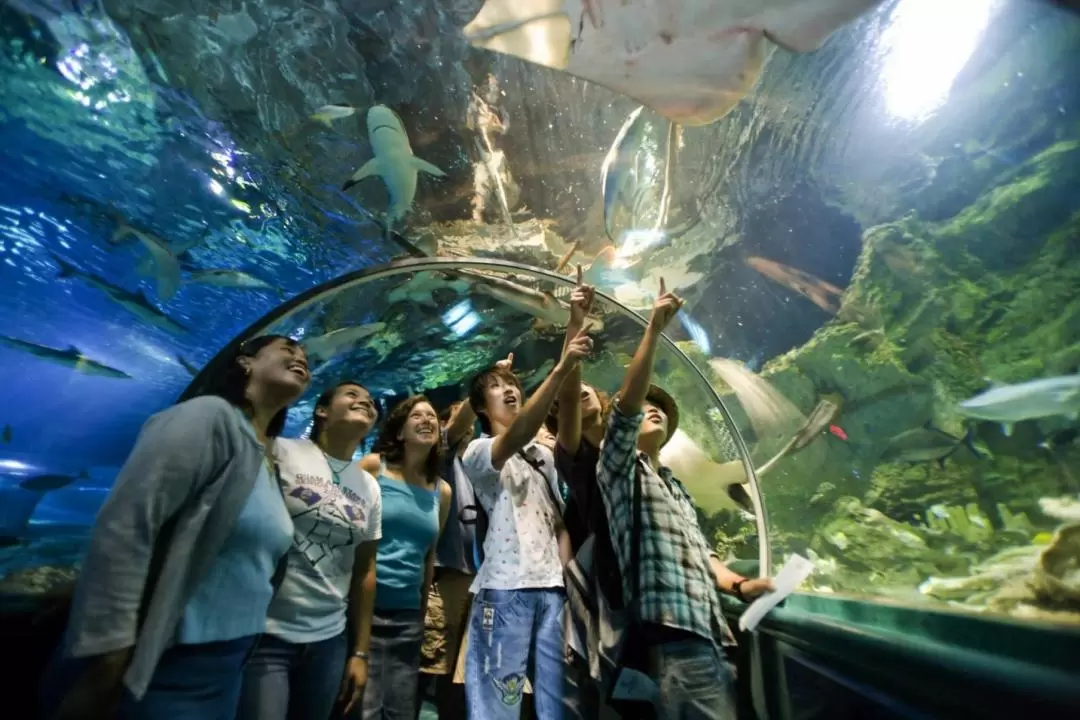 UnderWater World Guam Ocean Safari Admission Ticket 