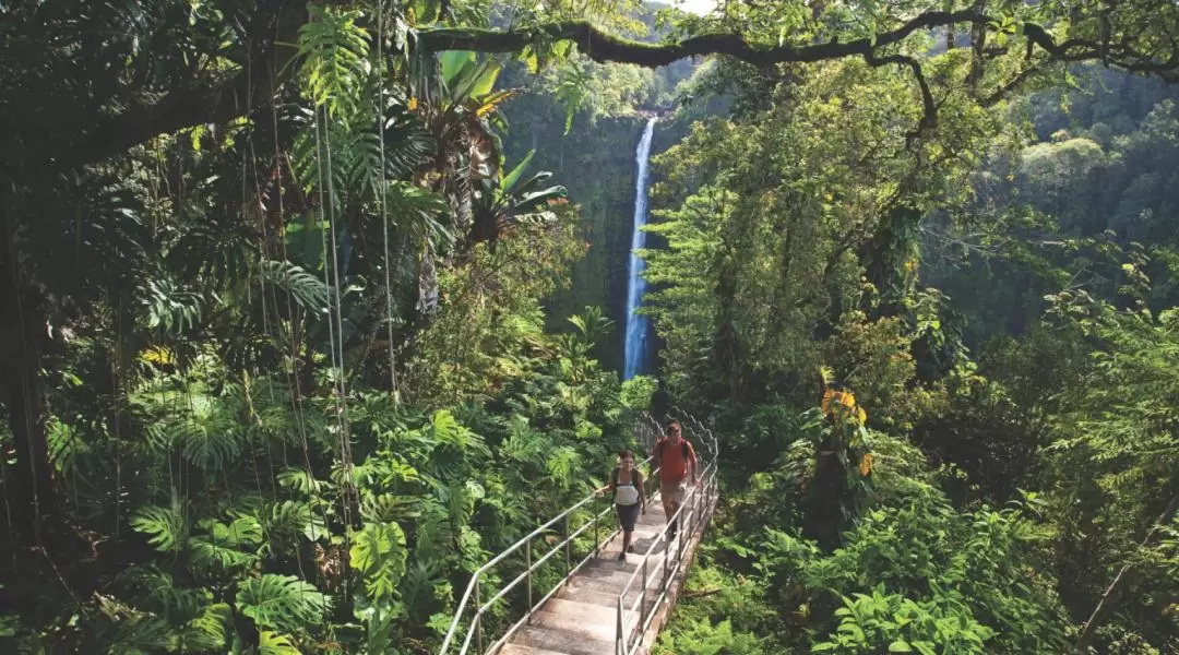 夏威夷大島火山冒險之旅（希洛出發）