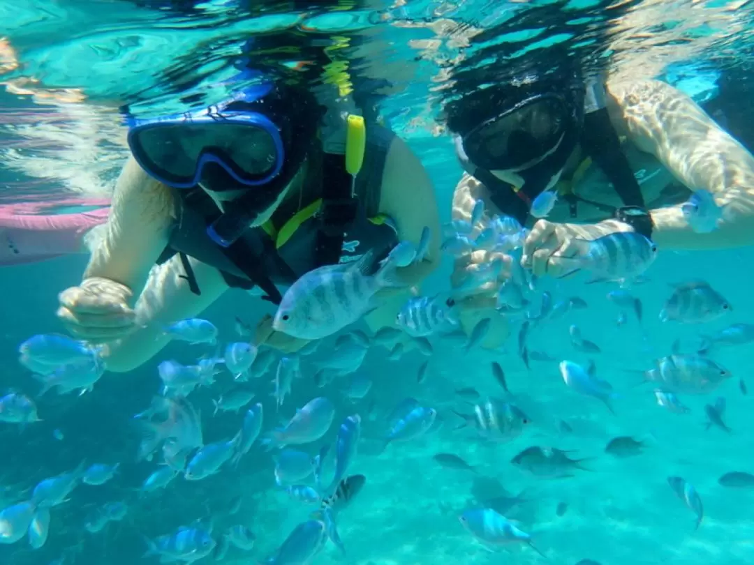 Phantom Island and Snorkeling Experience in Ishigaki Island 