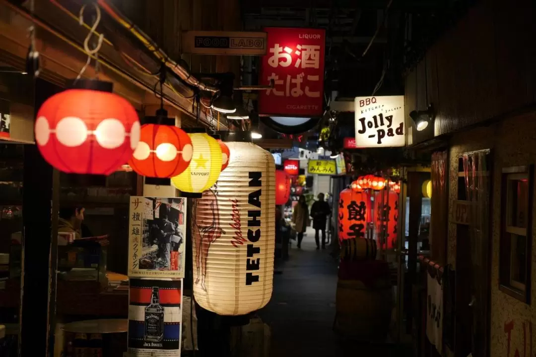 Osaka Nighttime Guided Food Tour