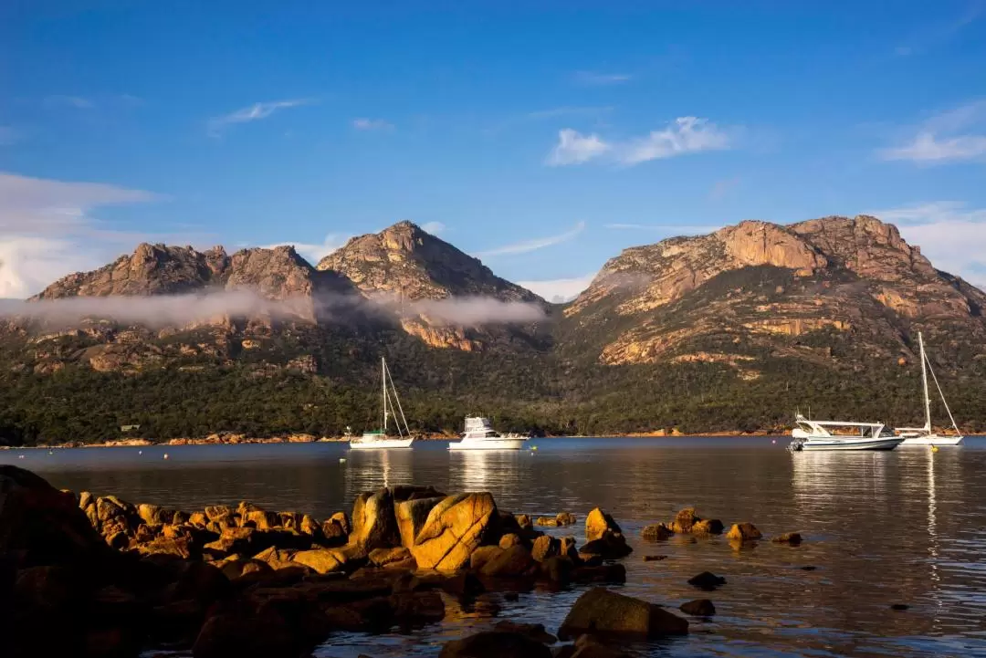 Iconic East Coast Day Tour from Hobart