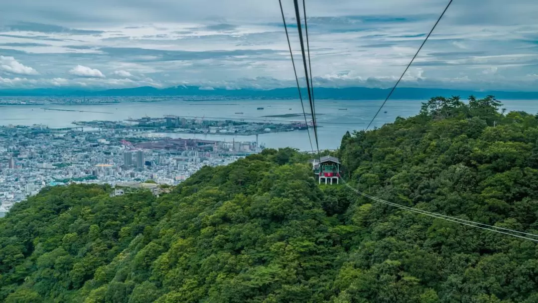 Kobe｜Mt. Rokko Night View Day Tour｜Departure from Osaka