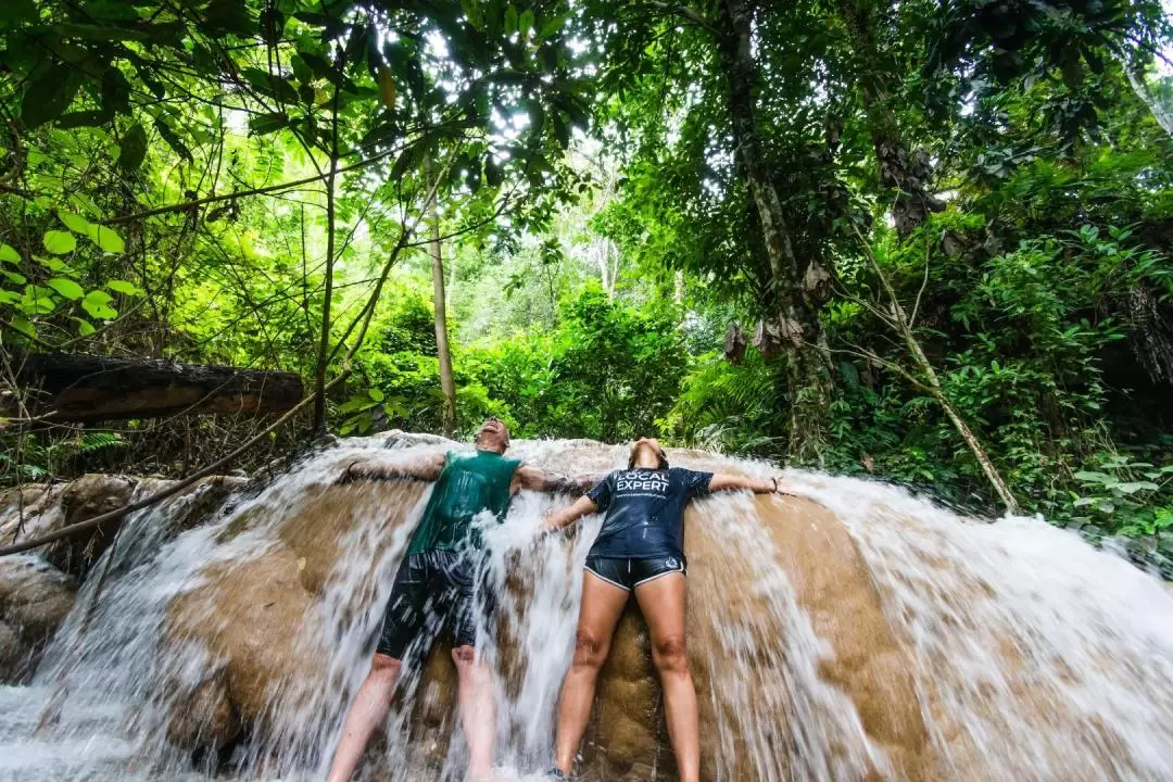 Sticky Waterfall Climbing Adventure in Chiang Mai