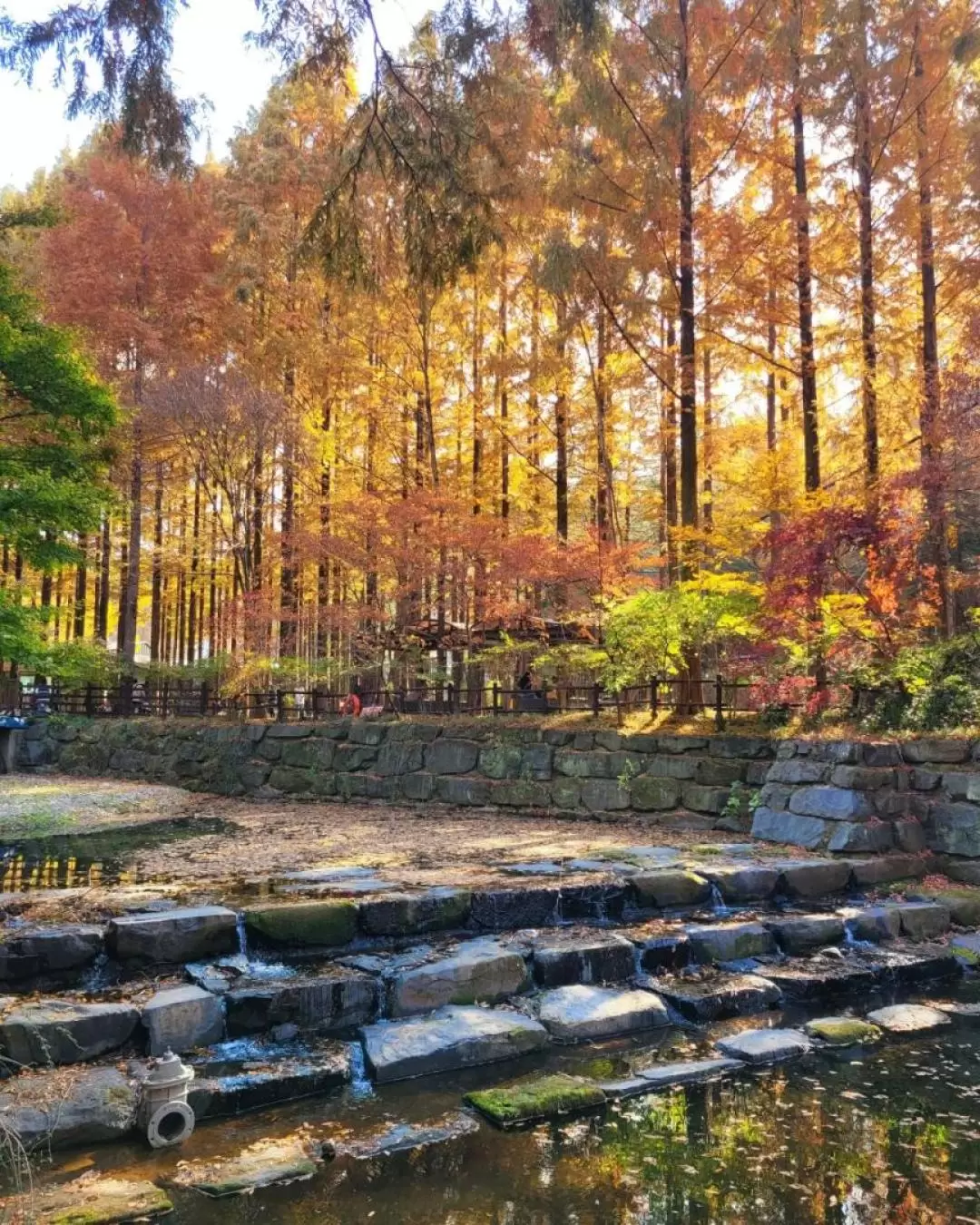 全州韓屋村 & 長泰山 & 大屯山遊覽（首爾出發）