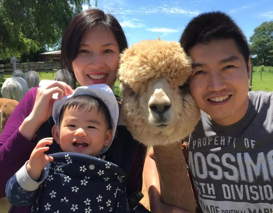 Cornerstone Alpaca Farm Ticket