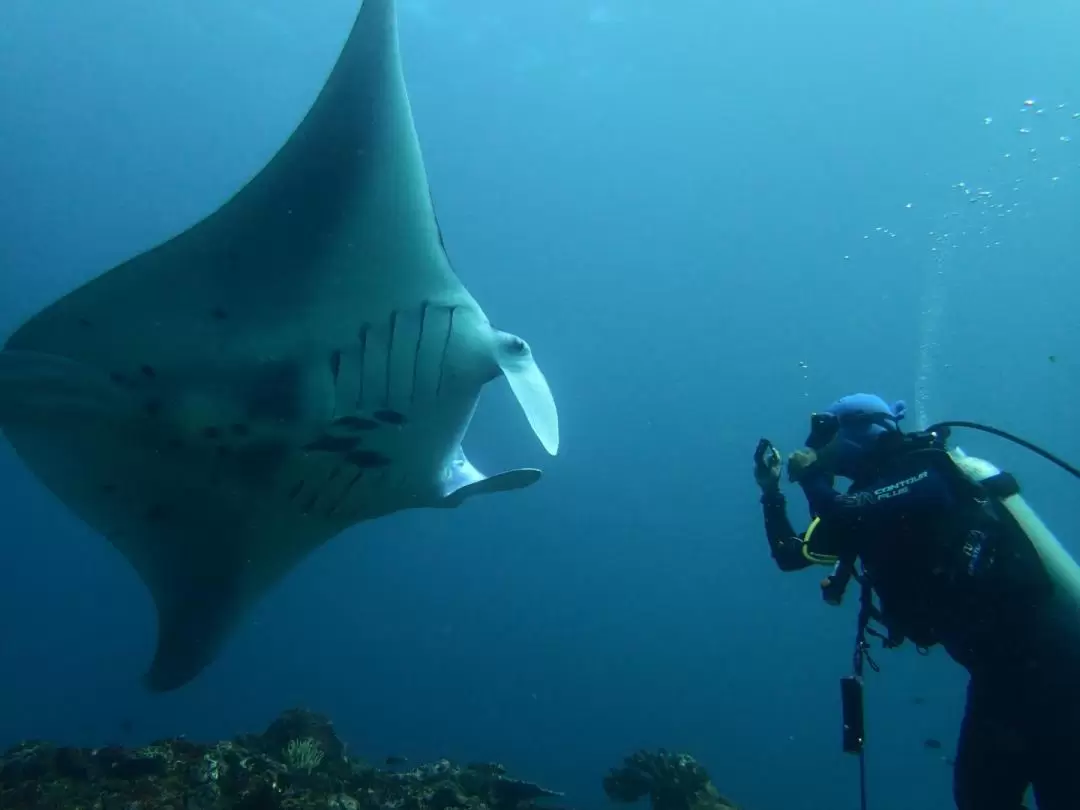 巴厘島Tulamben / Amed / Padang Bai / Gili Tepekong / Nusa Penida浮潛體驗（Bali Aqua Dive提供）