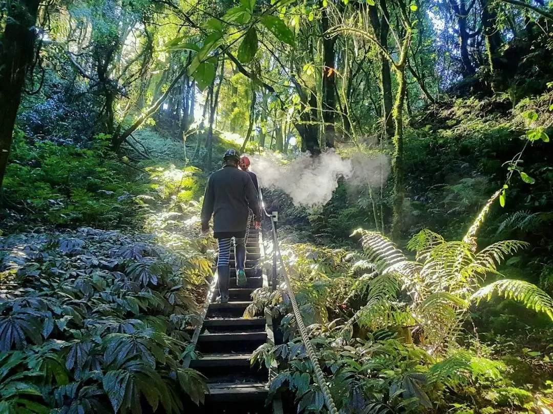 Glowworm Cave Private Tour with Guide from Waitomo