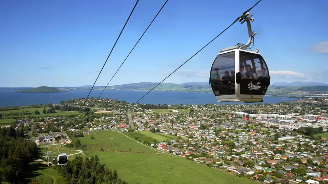 Rotorua Day Tour from Auckland