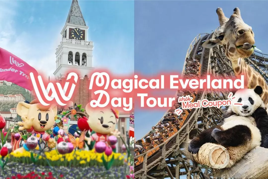 Everland Transfer + Admission ticket with Meal Coupon