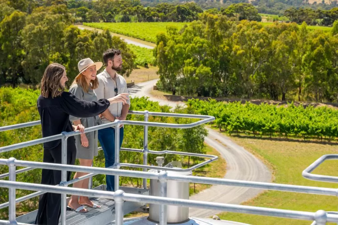 Wellness And Wine With Vegan Long Lunch in Adelaide