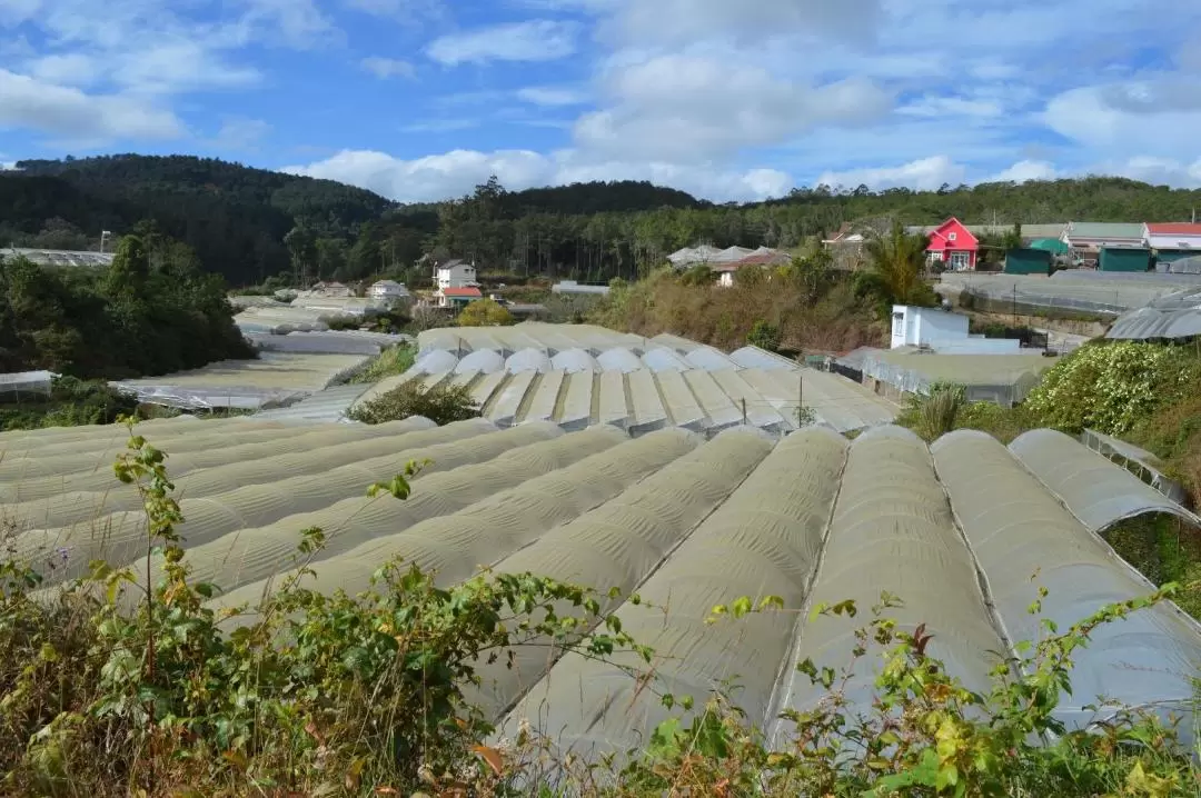 Da Lat Countryside Day Tour