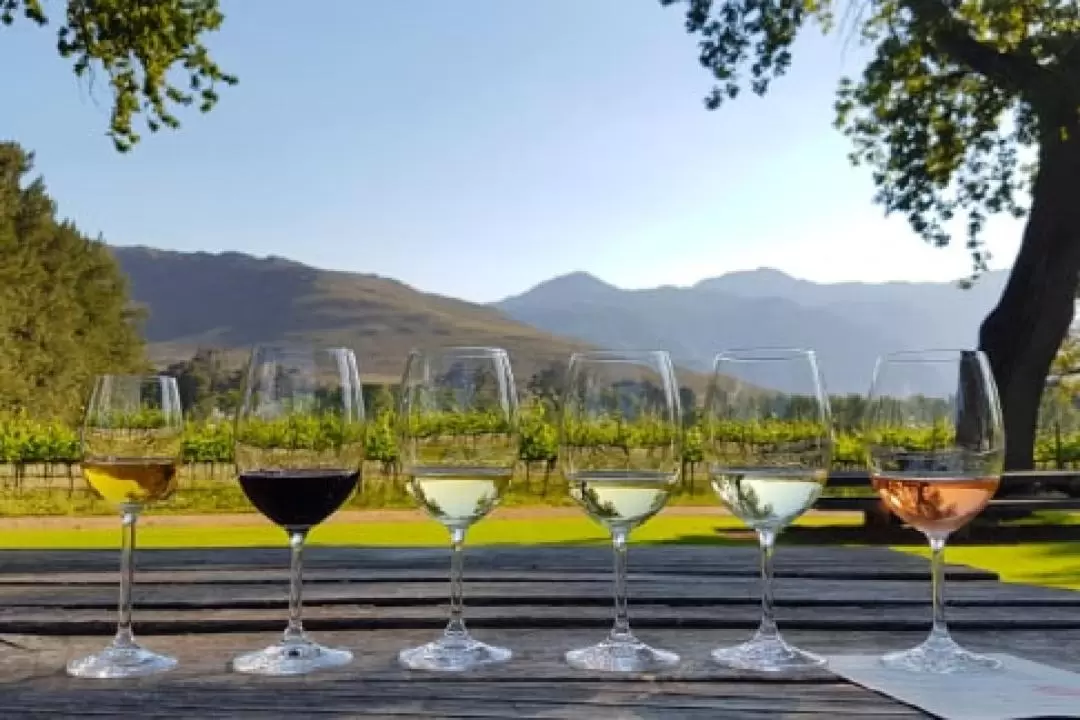 2D1N Stellenbosch Vineyards and Sea Safari Tour from Cape Town