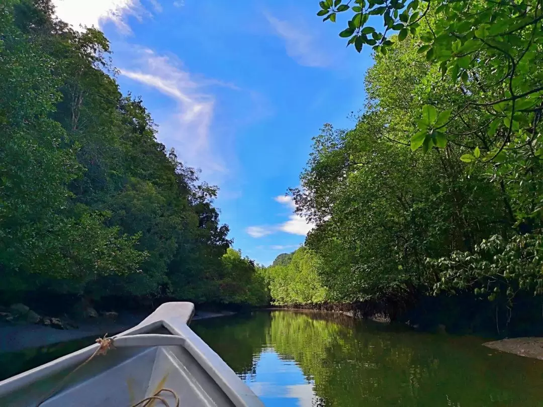 Private Mangrove Boat Tour With Transfer and Meal in Langkawi