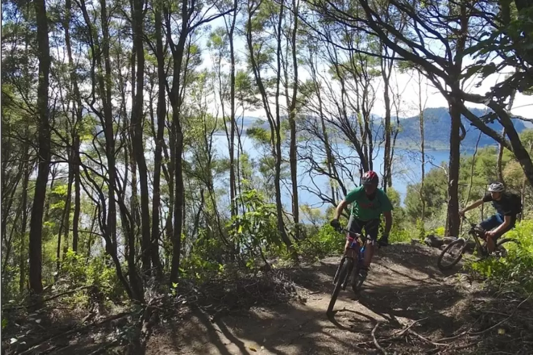 Big Day of Mountain Biking around Wellington