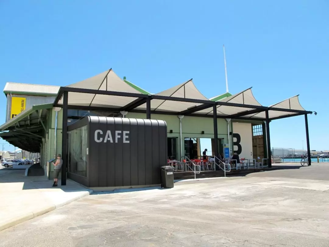 Rottnest Island Iconic Boat Tour from Perth or Fremantle