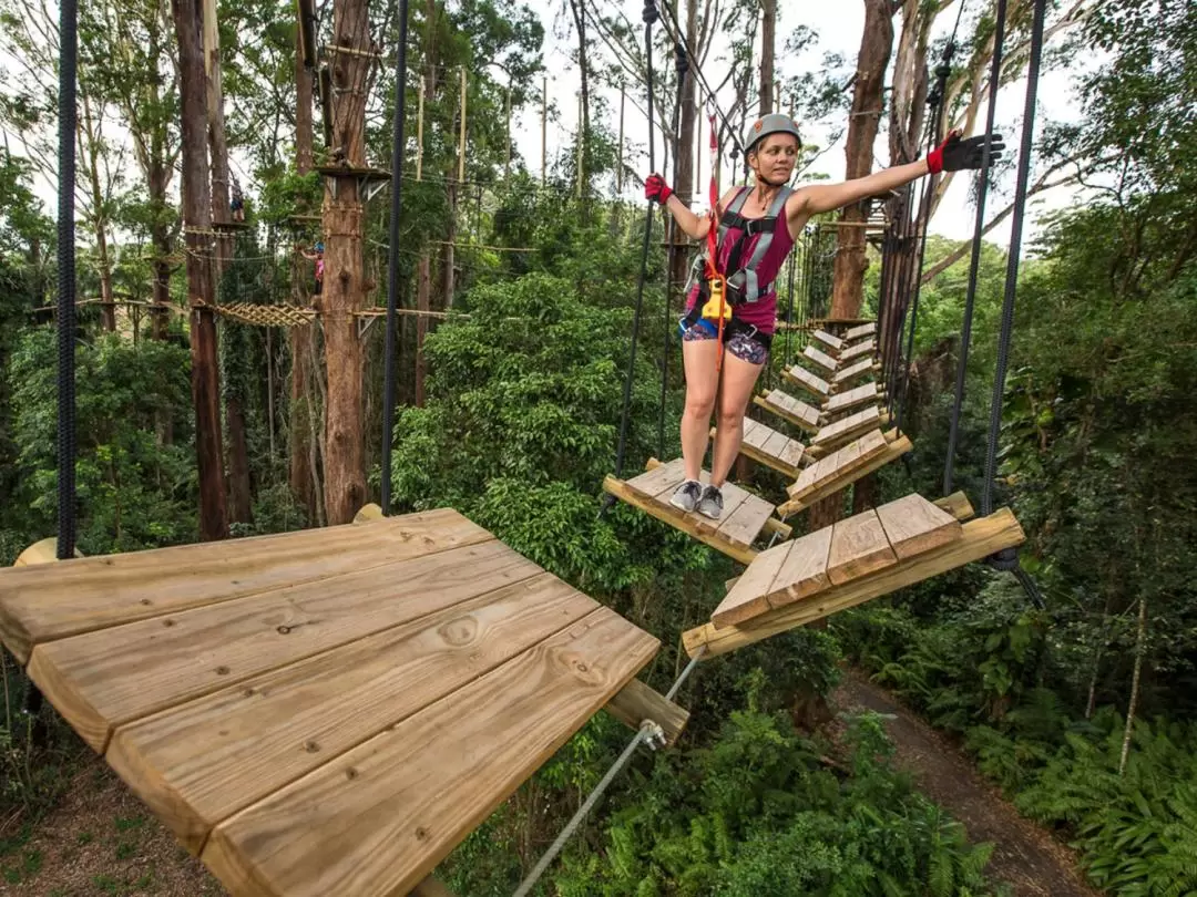 TreeTop Challenge Ticket in Sunshine Coast