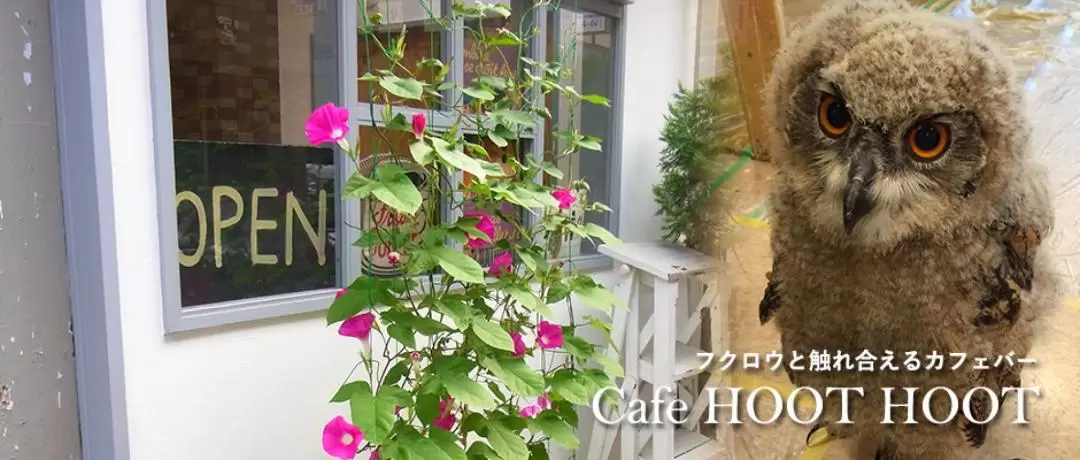 貓頭鷹之家咖啡店
