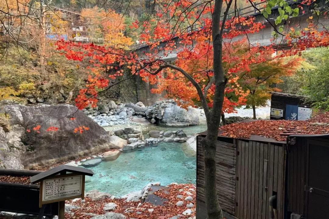 平湯溫泉 & Shin-Hodaka溫泉體驗（高山出發）