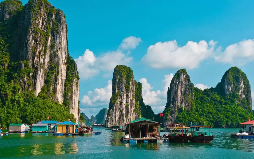 [Route 1] Small Group Halong Bay Day Tour by Dragonfly Cruise 