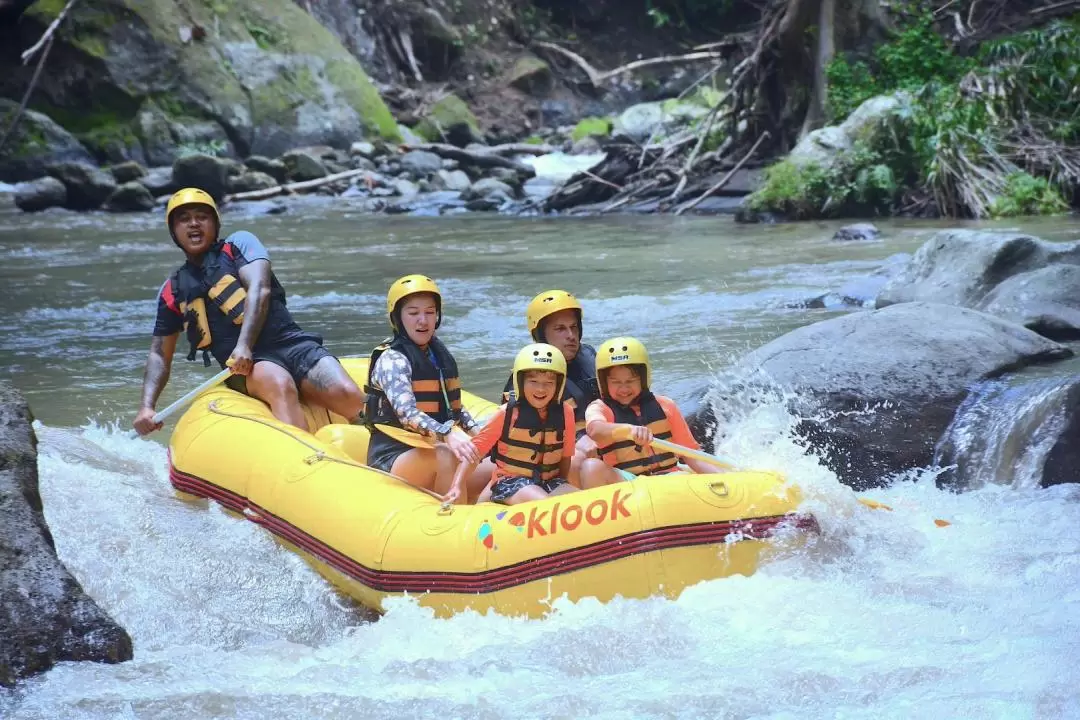 Ayung River Rafting in Bali with Activities and Sightseeing Tour