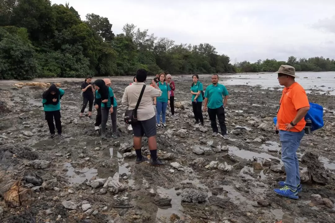 Desaru Beach and Tide Pool Walking Tour 