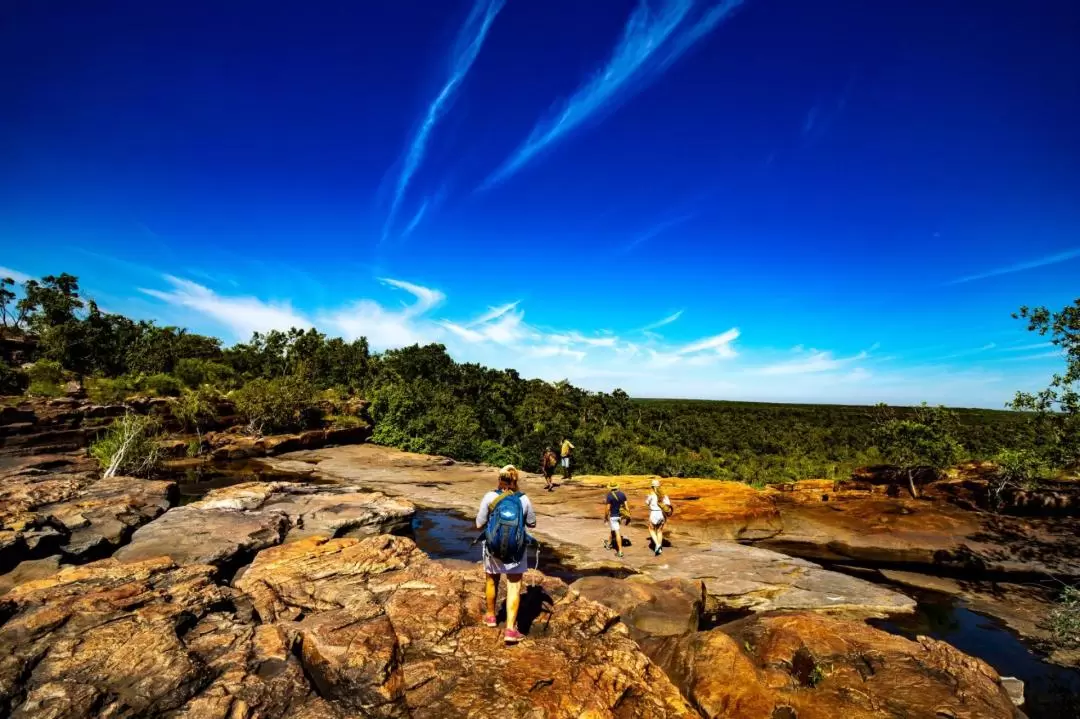 Day Trek to Mitchell Falls including Flights