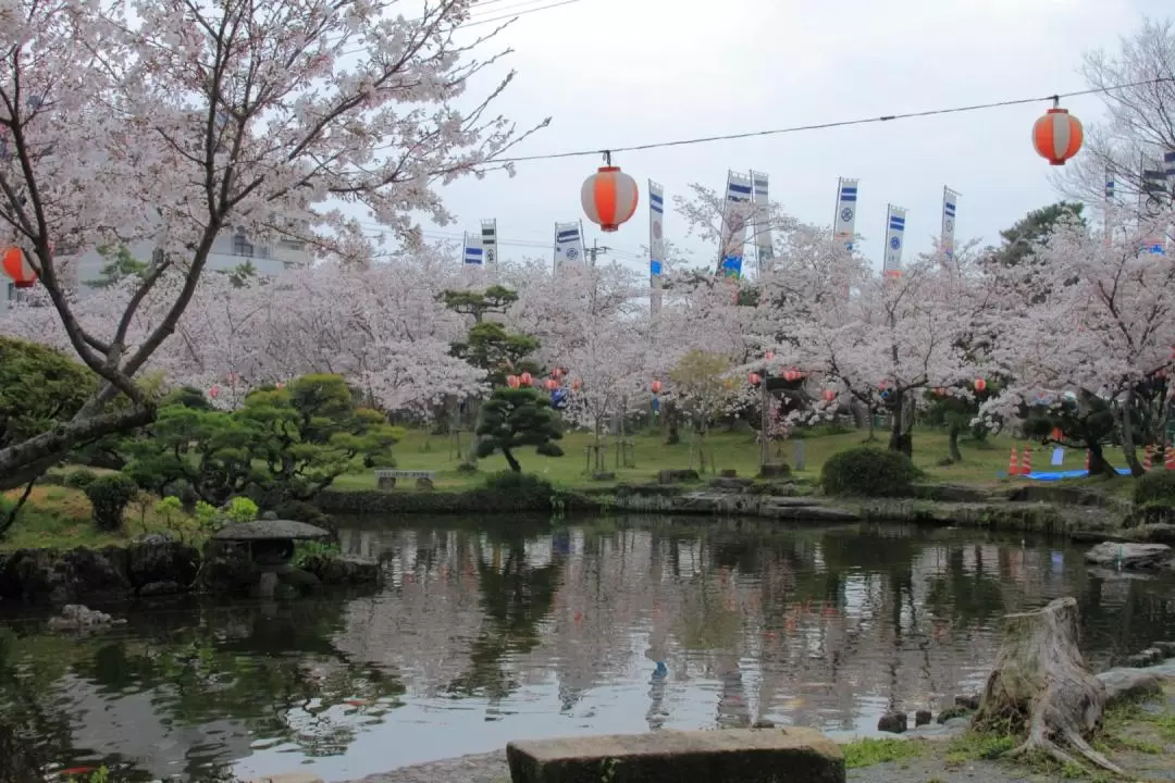 Yanagawa River & Tosu Premium Outlets Trip with Strawberry Picking