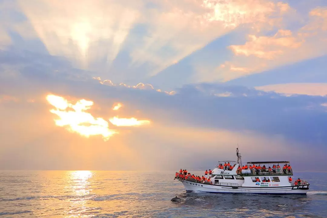 Hualien Whale-Watching Tour by Whale World 