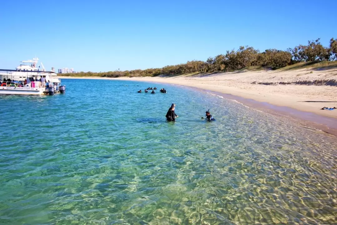 Half Day Wavebreak Island Snorkeling