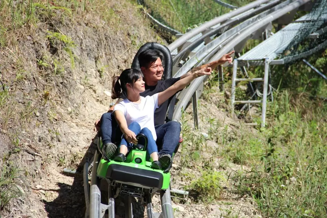 Experience the Thrills of Datanla New Alpine Coaster in Da Lat