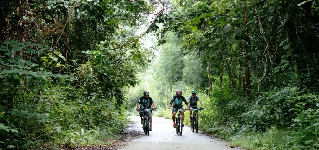 Chiang Mai Biking Day Tour by Trailhead