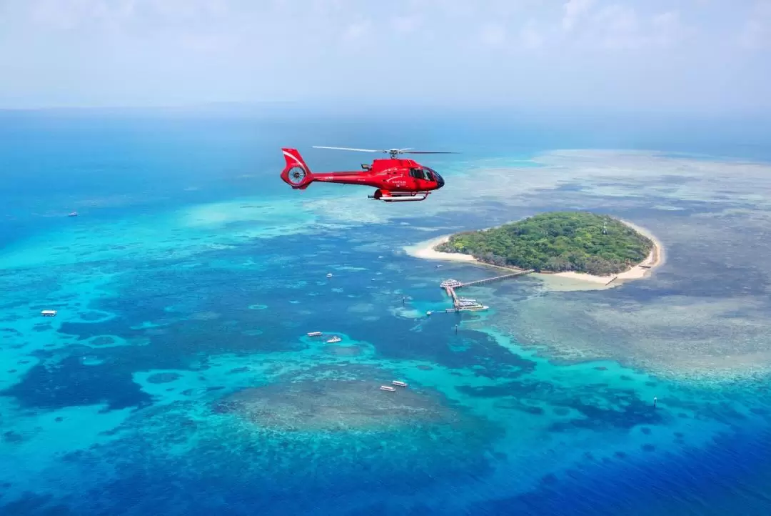 Great Barrier Reef Scenic Flight from Cairns or Port Douglas