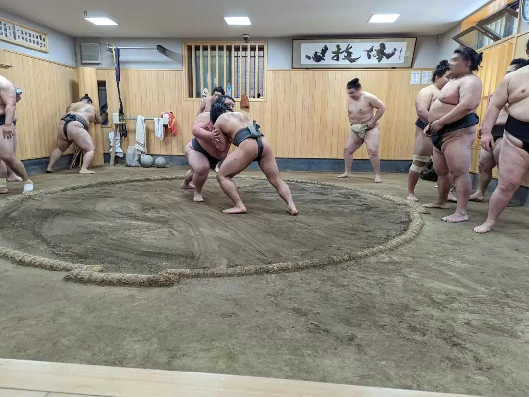 東京晨間觀看相撲練習體驗