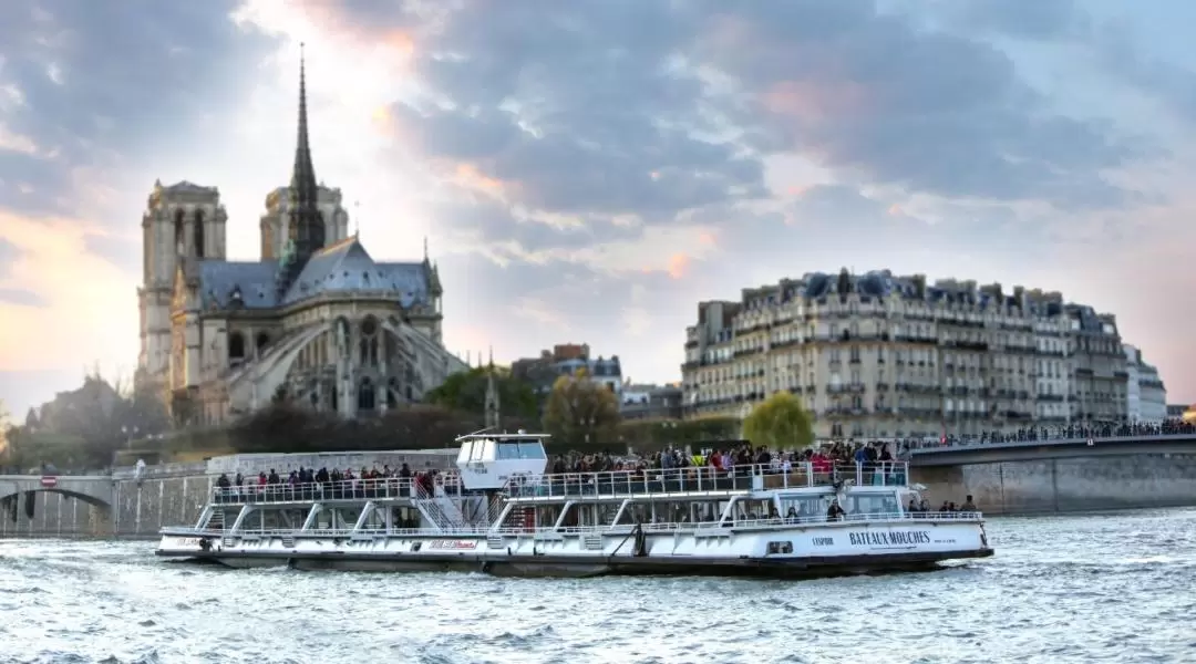 Seine River Sightseeing Cruise and Combo Experience in Paris