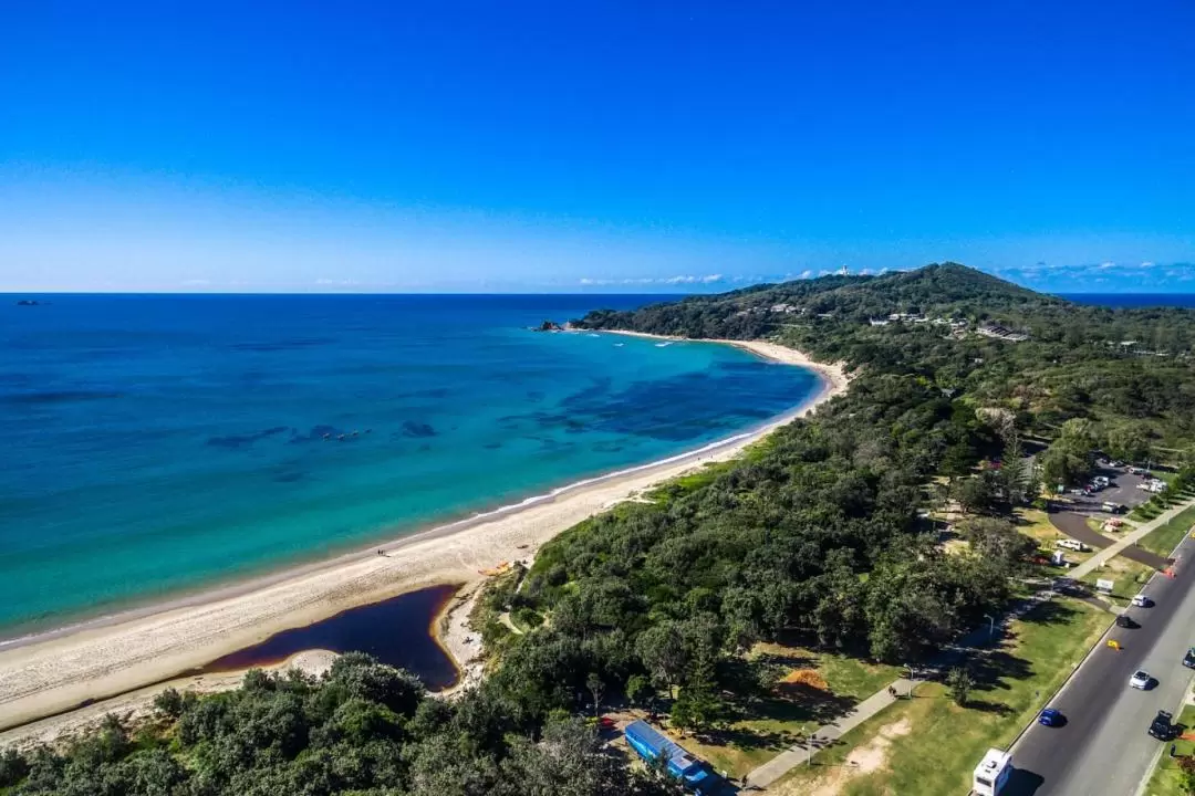 Dolphin Watching and Kayaking Experience from Byron Bay