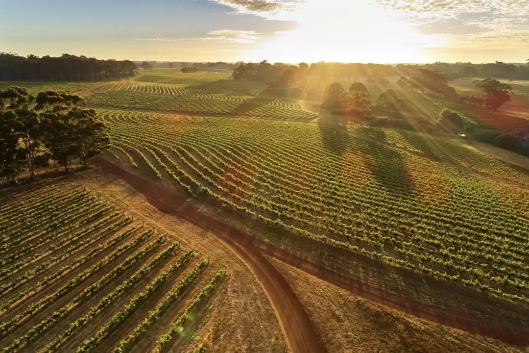 Wine, Lunch and Flight Experience in Margaret River