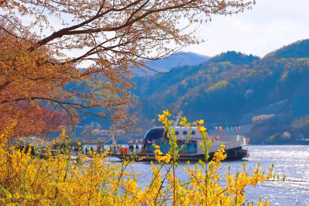 韓國5天5晚探索之旅（首爾 - 南怡島 - 愛寶樂園）- 越南西貢出發